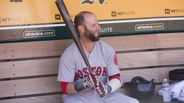 Red Sox Small Talk: Has Dustin Pedroia Ever Saved An Endangered Animal?