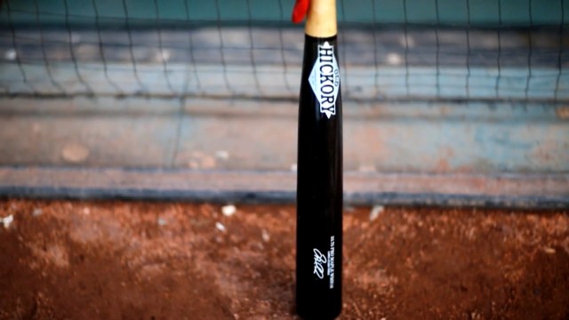 Baseball Lab: Testing Bat Durability